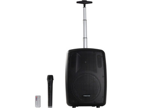 Acquista Altavoz Trolley Fonestar AMPLY-T 100W BT/FM/USB/MicroSD Altavoz Trolley Fonestar AMPLY-T 100W BT/FM/USB/MicroSD