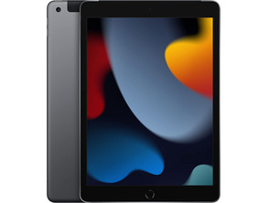 Acquista Apple iPad 2.10.2021 Wifi / Cell 256 GB Gris Espacial MK4E3TY/A Apple iPad 2.10.2021 Wifi / Cell 256 GB Gris Espacial MK4E3TY/A