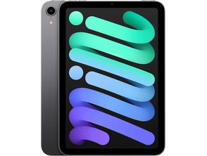 Acquista Apple iPad Mini Gen 6 2021 Wifi 256 GB Spazio Grey MK7T3TY/A Apple iPad Mini Gen 6 2021 Wifi 256 GB Spazio Grey MK7T3TY/A