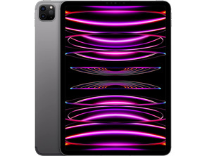 Acquista Apple iPad Pro 11 '' 2022 Wifi 128GB Space Grey MNXD3TY/A Apple iPad Pro 11 '' 2022 Wifi 128GB Space Grey MNXD3TY/A