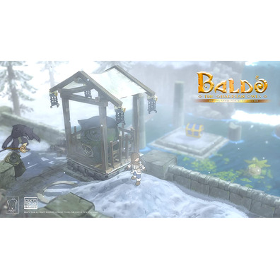 Baldo: The Guardian Owls PS4