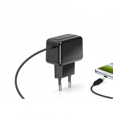 Travel charger 1000 mAh microUSB SBS