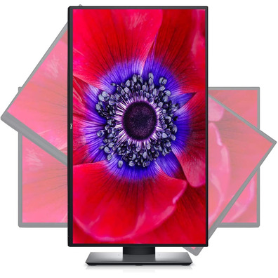 Monitor LED 25 '' ' Dell Ultrasharp U2520D Negro