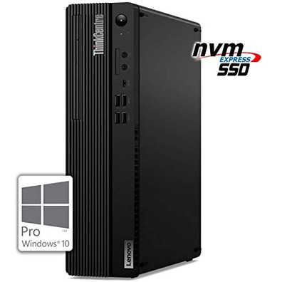 Ordenador Lenovo Thinkcentre M75S-11JB002FSP R3/8GB/256GB/W10P