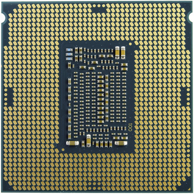 Procesador Intel Celeron G6925 3,6 Ghz 1200