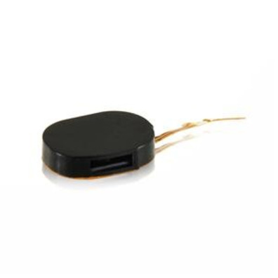 Riparazione Buzzer Ringer for iPhone 2G