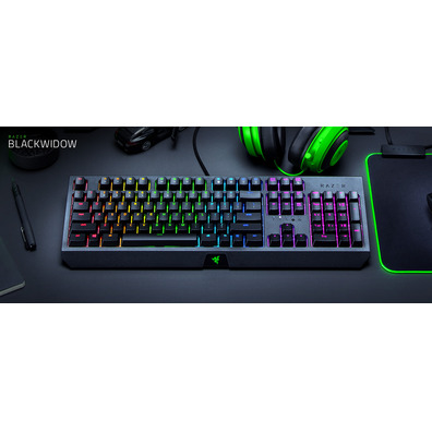 Tastiera Razer Blackwidow Verde Interruttore