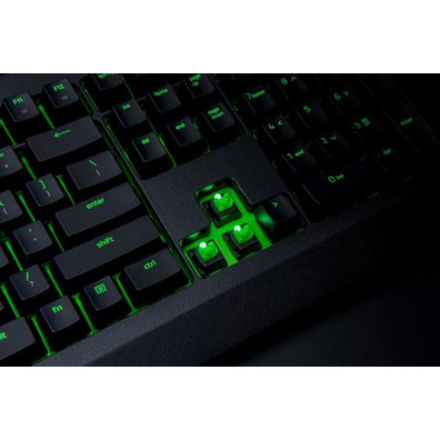 Tastiera Razer Blackwidow Verde Interruttore