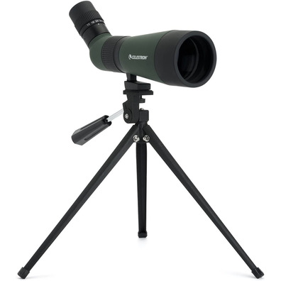 Telescopio Stampa Celestron LandScout 12-36x60 45º