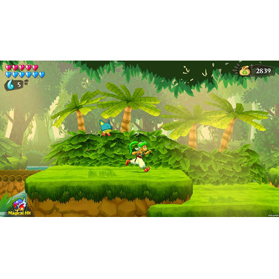 Wonder Boy Asha a Monster World Switch