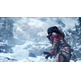 Rise of the Tomb Raider PC