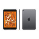 Apple iPad Mini 5 Wifi 256 GB di Spazio Grigio MUU32TY/A