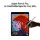 Apple iPad Pro 11 2024 5o Wifi / M4/ 256Gb/ Negro Espaciale