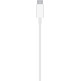 Cargador Apple Magsafe 20W USB - C