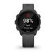 Sportwatch Garmin Forerunner 245 Gris GPS