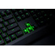 Tastiera Razer Blackwidow Verde Interruttore