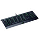 Tastiera Razer Cynosa Chroma Lite